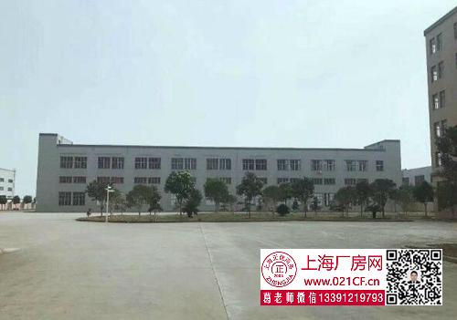 G1731 奉贤 南桥奉浦工业园开发区新出1100平标准厂房仓库出租
