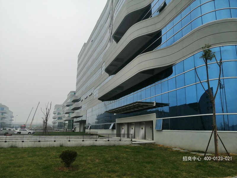 IMG_20191011_123854.jpg
