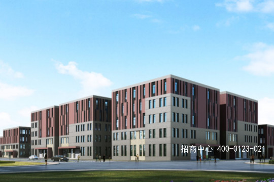 G2611 杭州萧山经济技术开发区红垦区块 中南高科 独栋厂房出售 600平起出售