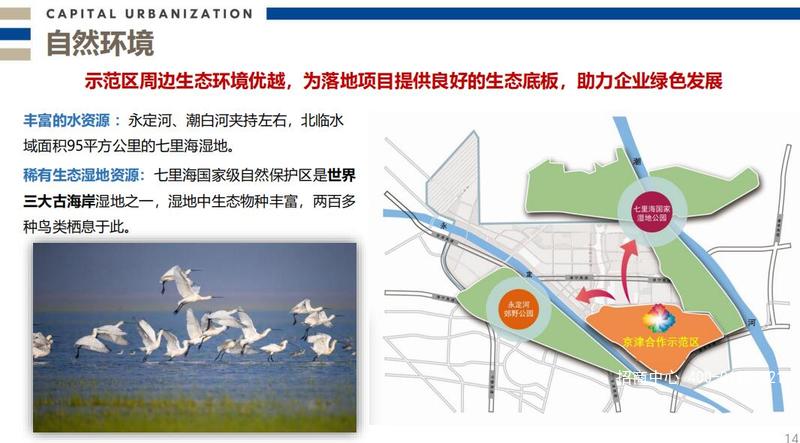 QQ截图20191121183531.jpg
