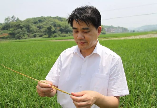 湖南科技报社组建百名农技专家服务团“抗疫情·稳生产”专家在线农技服务今日上线